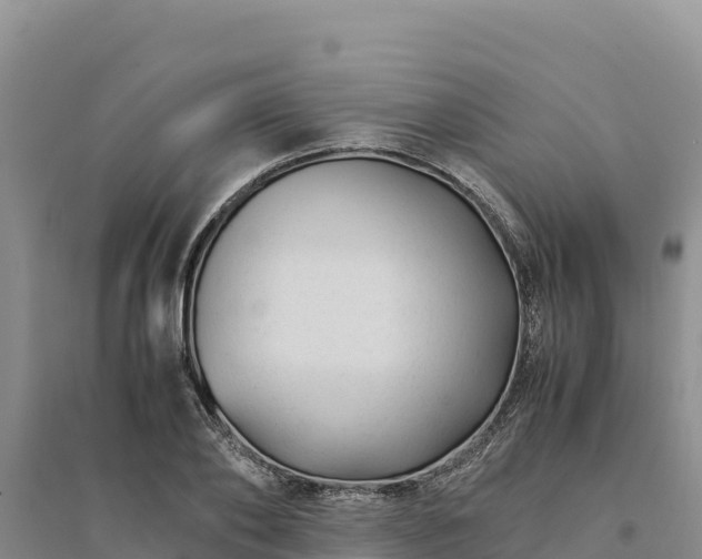 X0000094340886200711091426