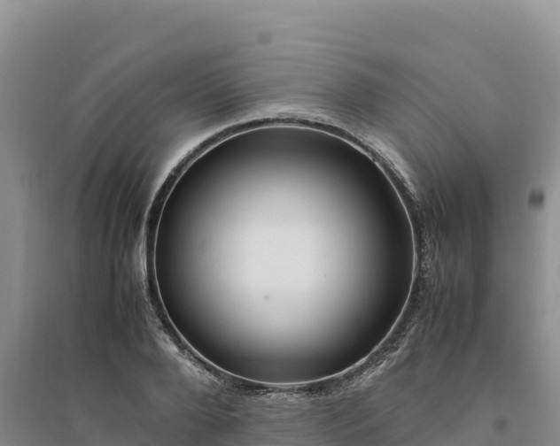 X0000094340888200711091426