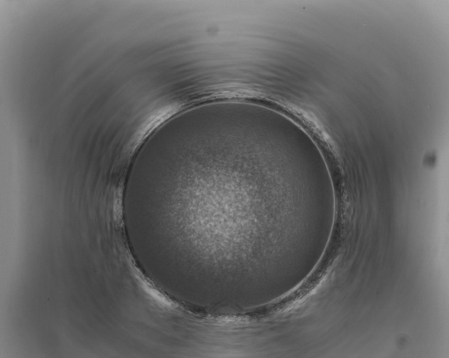 X0000094340889200711091426