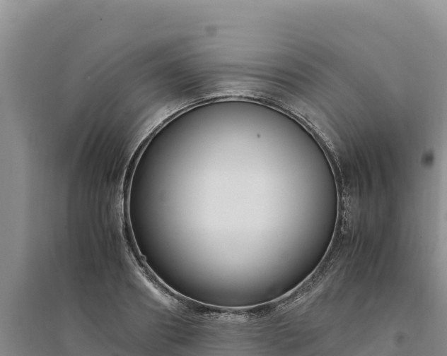 X0000094340890200711091426