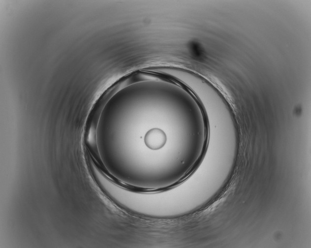 X0000094340893200711091426