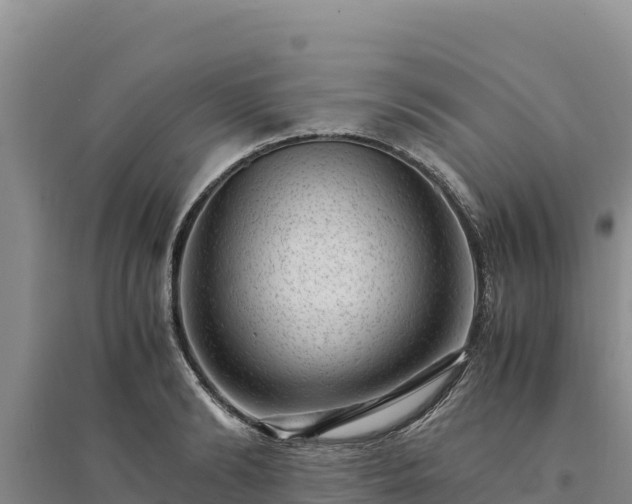 X0000094340894200711091426