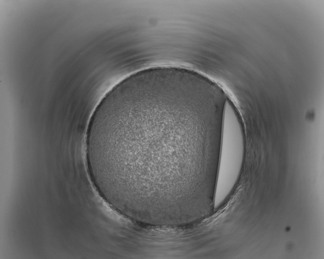 X0000094340895200711091426