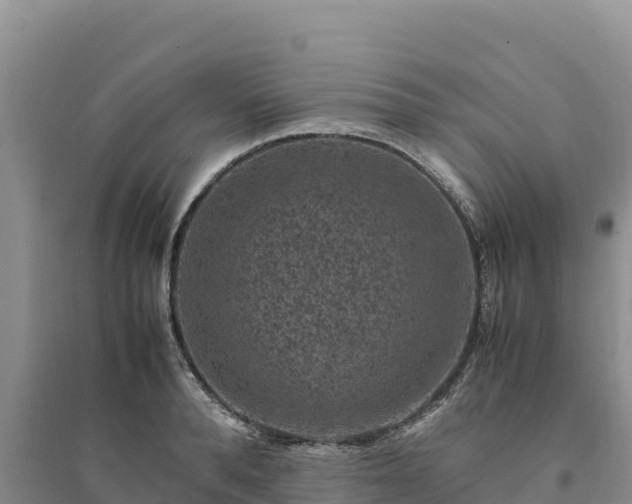X0000094340896200711091426