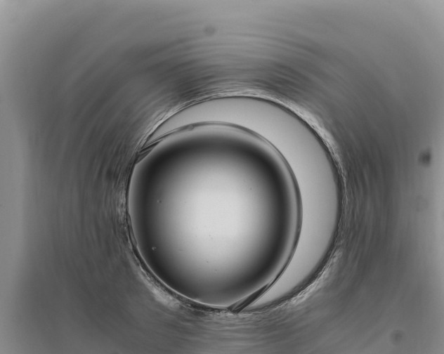 X0000094340897200711091426