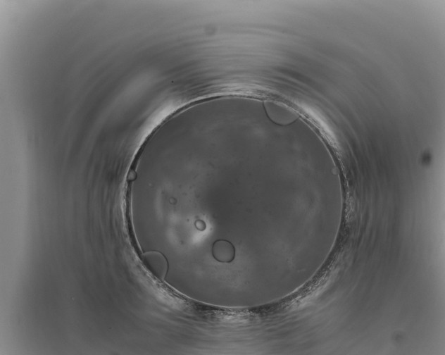 X0000094340899200711091426