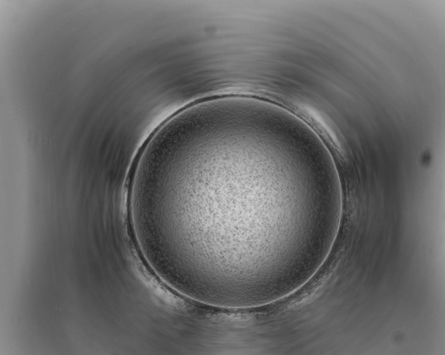 X0000094340900200711091426
