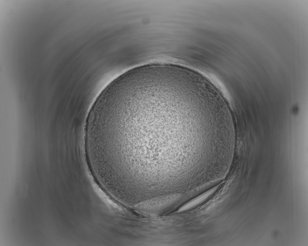 X0000094340903200711091426