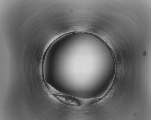 X0000094340904200711091426