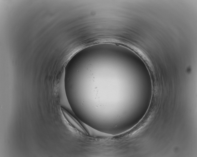 X0000094340905200711091426