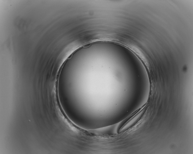 X0000094340906200711091426