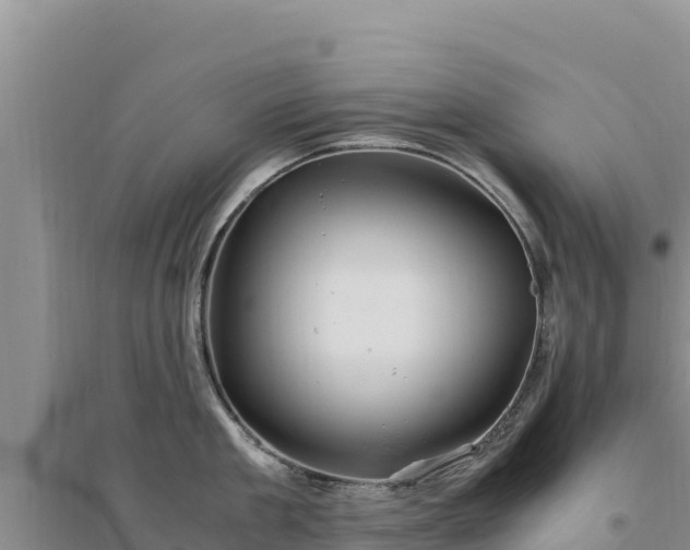 X0000094340909200711091426