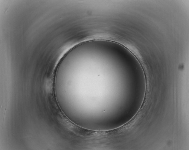 X0000094340912200711091426