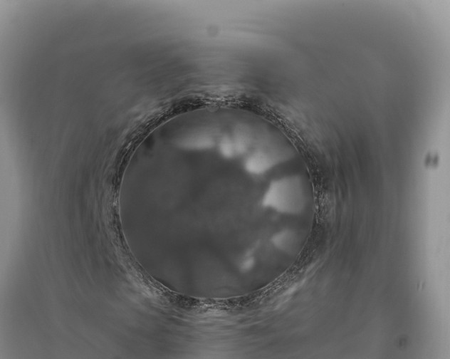 X0000094340913200711091425