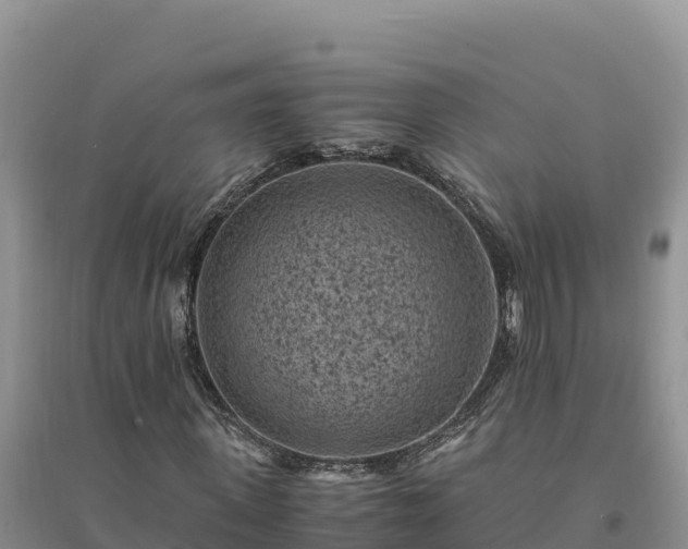 X0000094340915200711091425