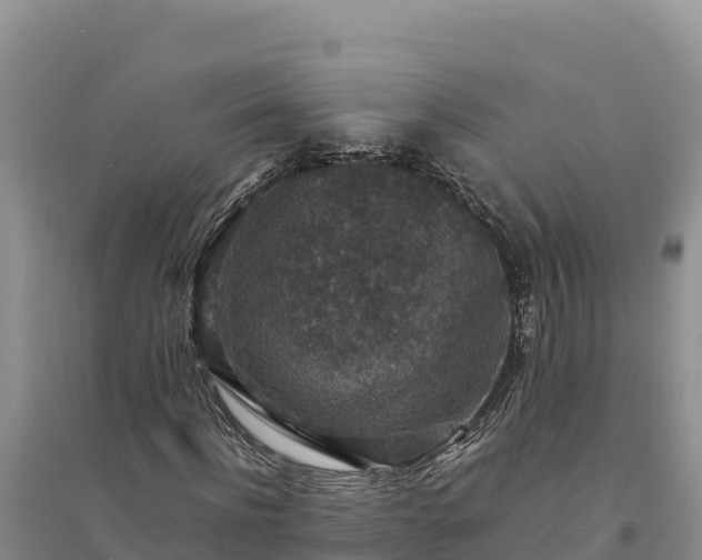 X0000094340916200711091425
