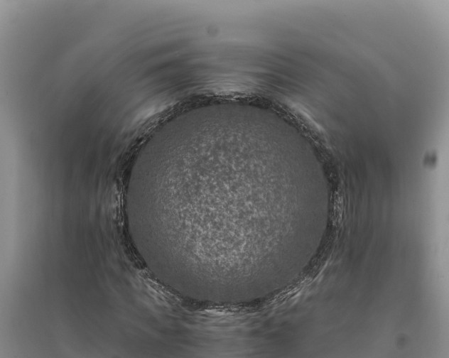 X0000094340917200711091425