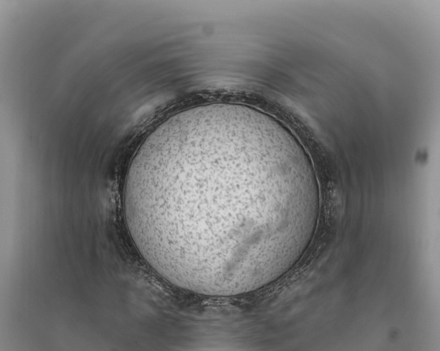 X0000094340918200711091425