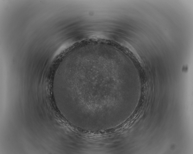 X0000094340919200711091425