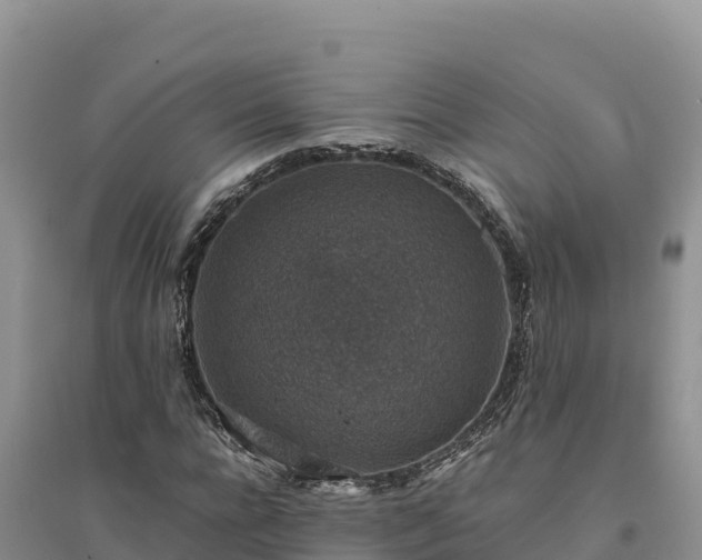 X0000094340920200711091425