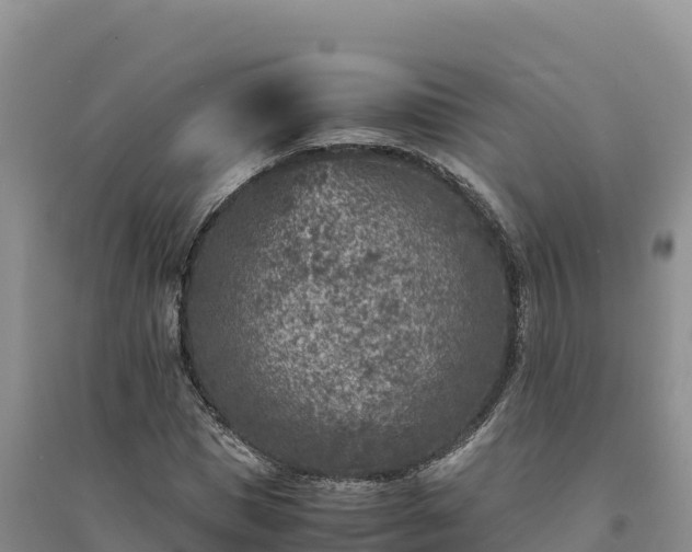 X0000094340921200711091425