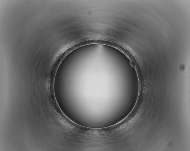 X0000094340922200711091425