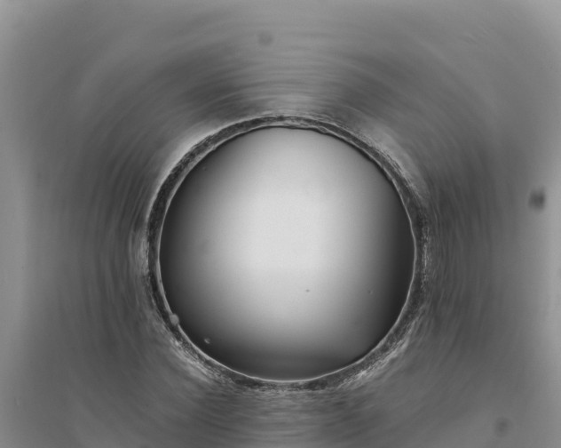 X0000094340924200711091425