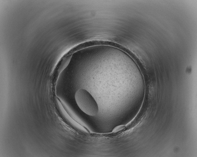 X0000094340926200711091425