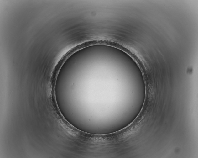X0000094340927200711091425