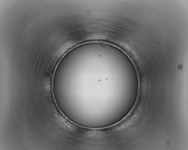 X0000094340929200711091425