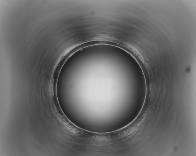 X0000094340931200711091425