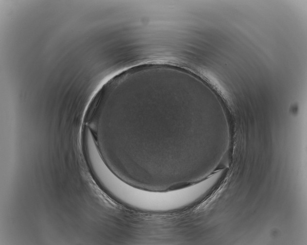 X0000094340932200711091425