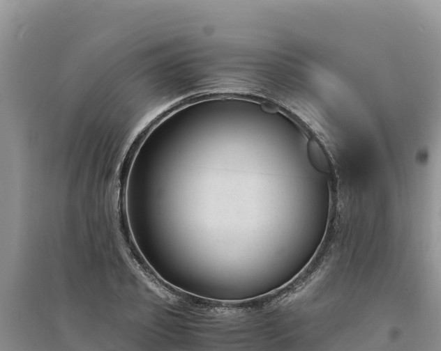 X0000094340933200711091425