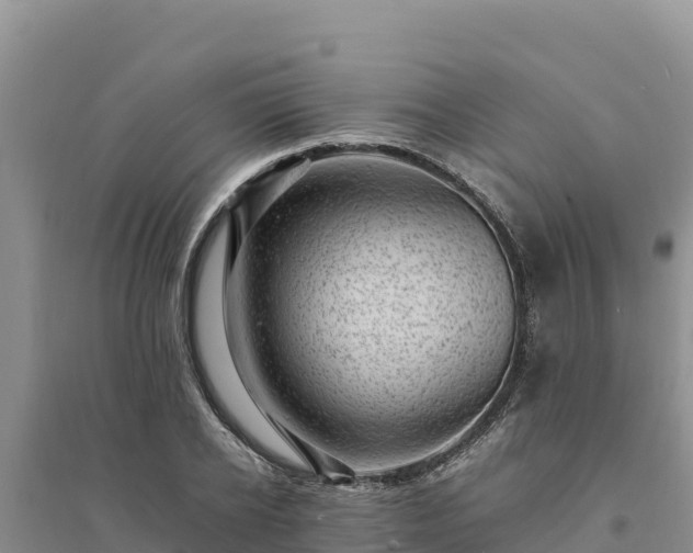 X0000094340934200711091425