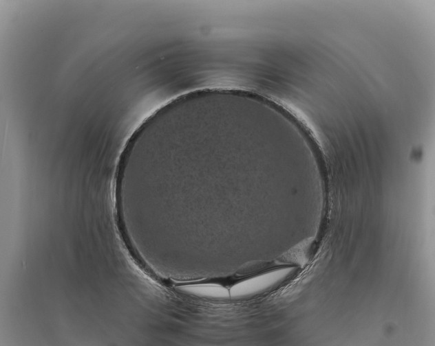 X0000094340935200711091425