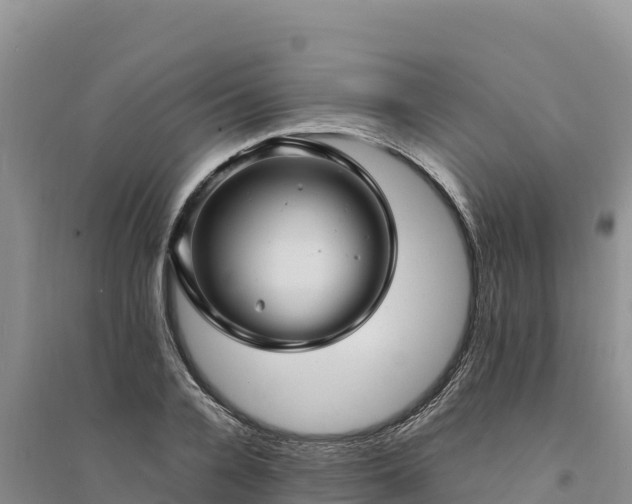X0000094340936200711091425