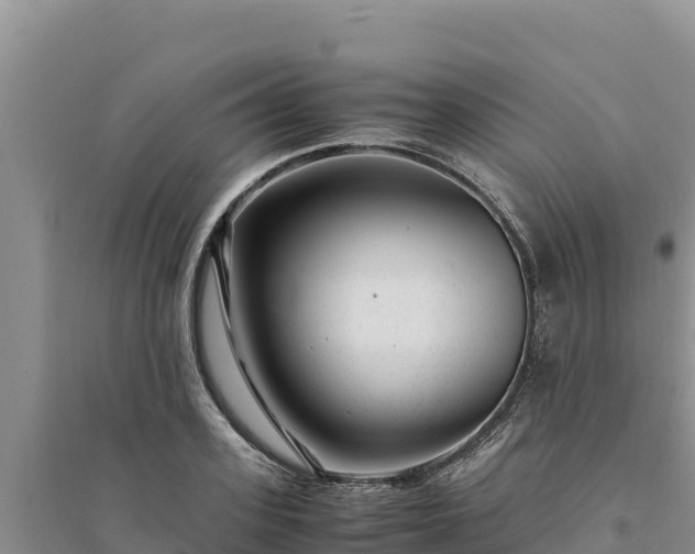 X0000094340939200711091425