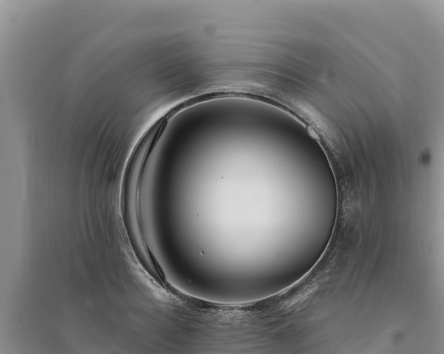 X0000094340940200711091425
