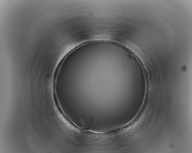 X0000094340941200711091425