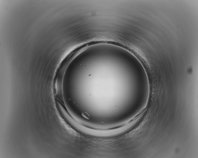 X0000094340942200711091426