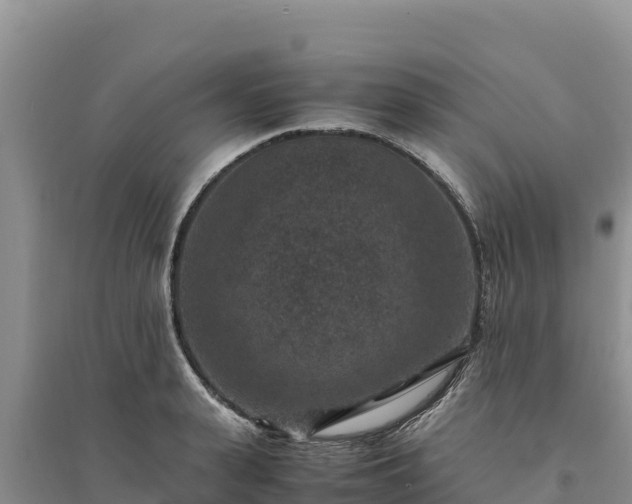 X0000094340943200711091426