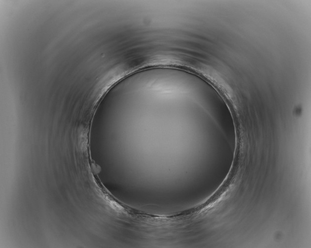 X0000094340945200711091426