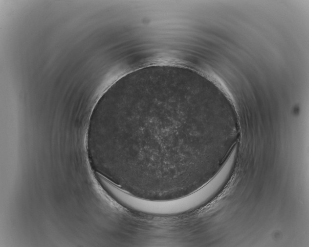 X0000094340946200711091426