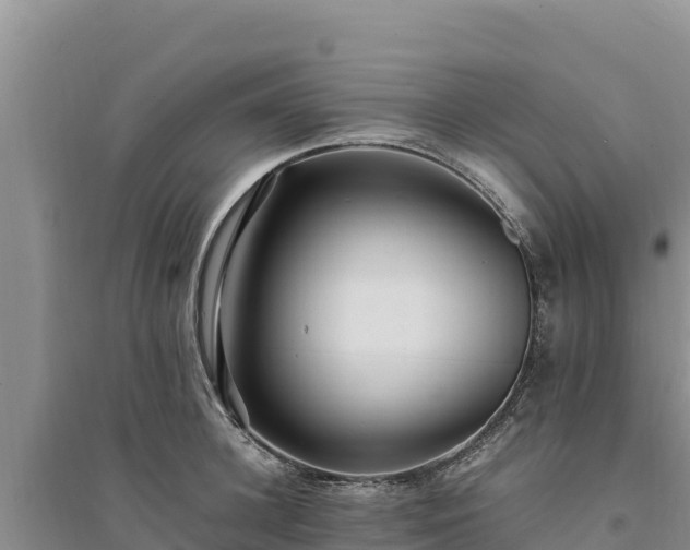 X0000094340948200711091426