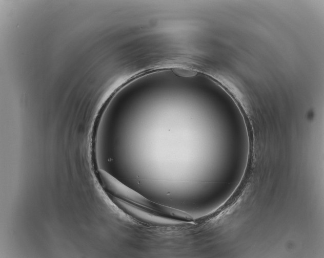 X0000094340949200711091426