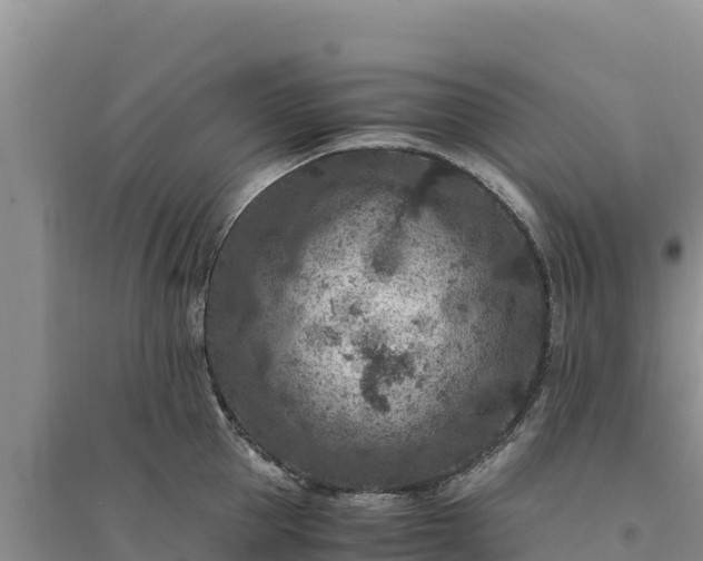 X0000094340953200711091426