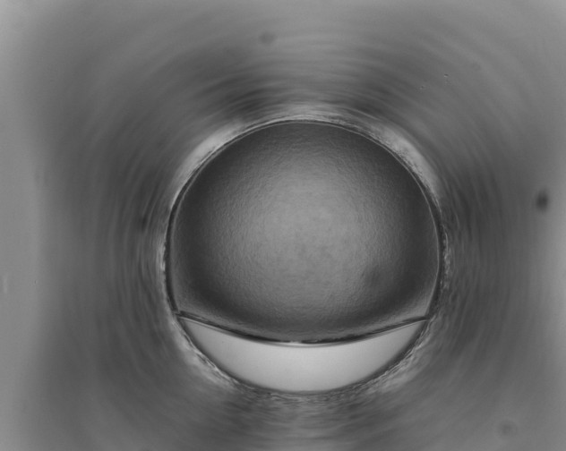 X0000094340954200711091426
