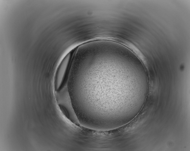 X0000094340955200711091426