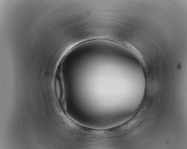 X0000094340956200711091426