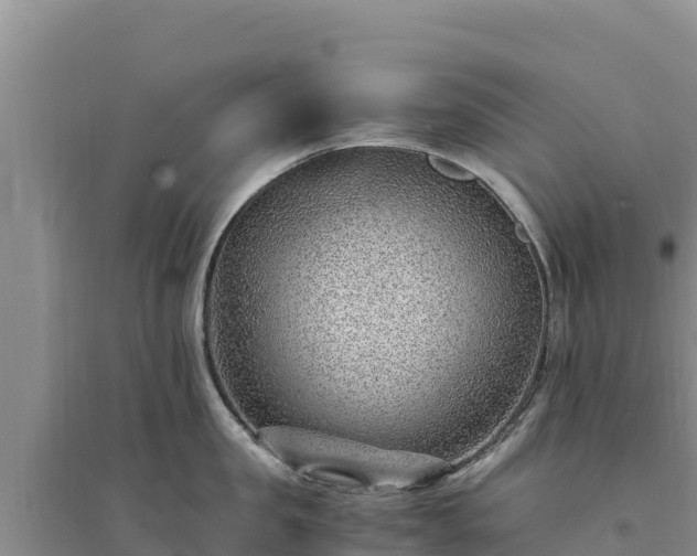 X0000094340957200711091426